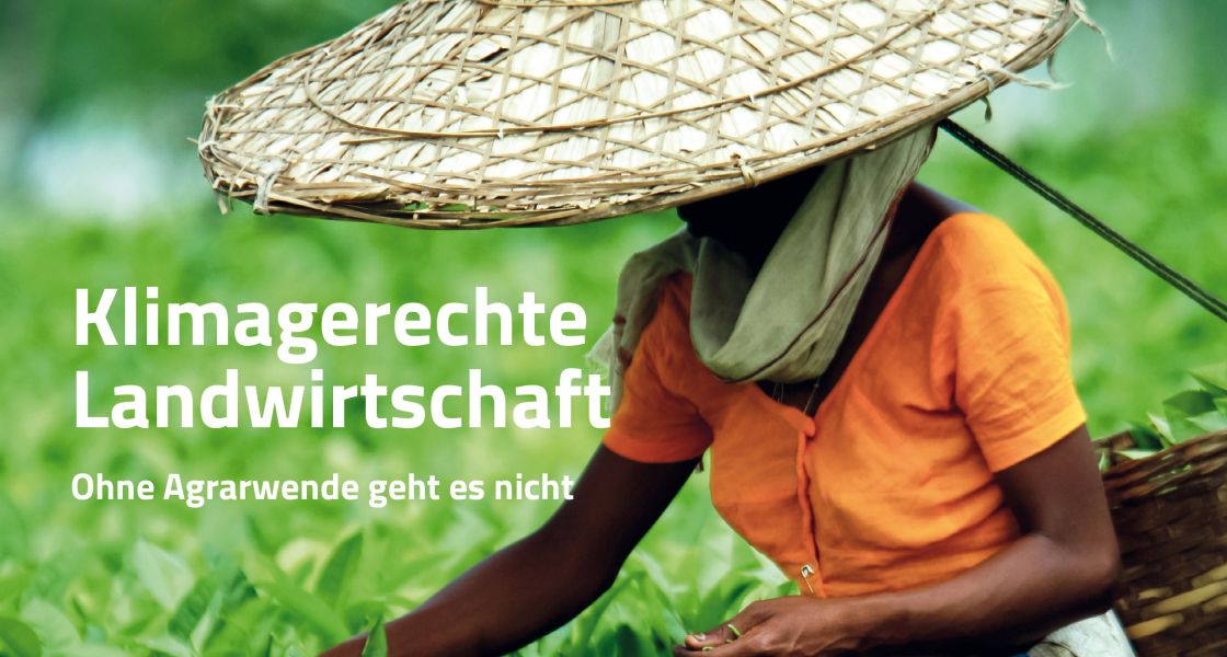 Eine Person mit breitem geflochtenen Hut pflückt Teeblätter