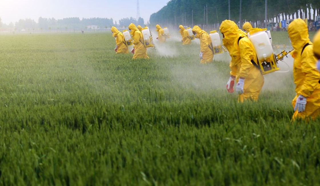 Menschen mit gelber Schutzkleidung spritzen etwas auf ein grünes Feld