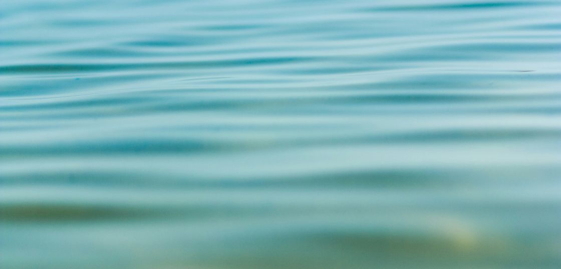 Man blickt auf die Wasseroberfläche eines Sees.