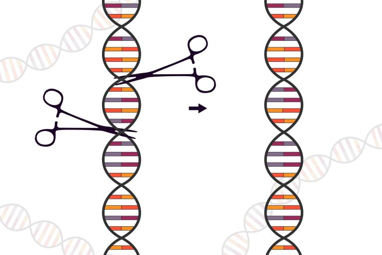 Scheren zerschneiden einen bunten und animierten DNA-Strang 