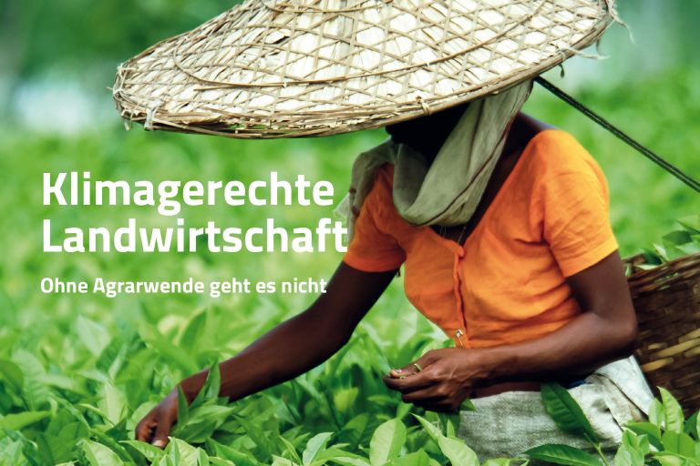 Eine Person mit breitem geflochtenen Hut pflückt Teeblätter