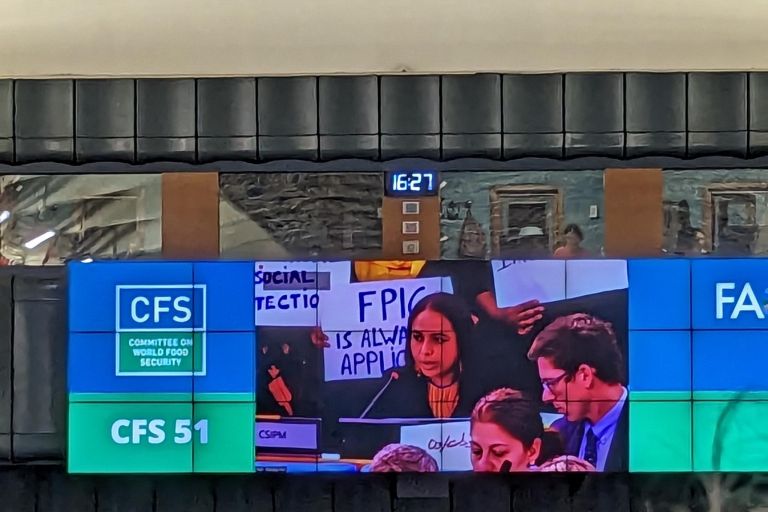 großer Bildschirm mit Livebildern auf dem 51. UN-Welternährungsauschuss in Rom